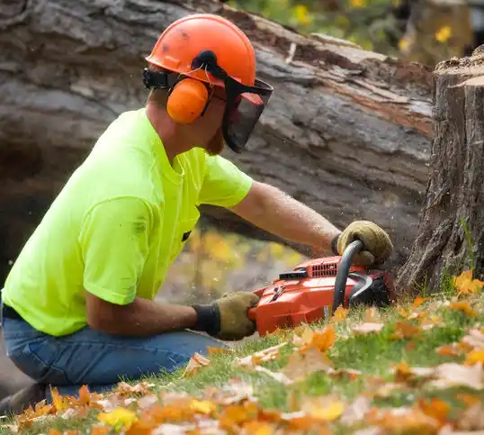 tree services Bronxville